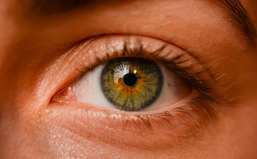 Oczy to ekstrawagancki organ. To otóż to dzięki nim odczuwamy.
